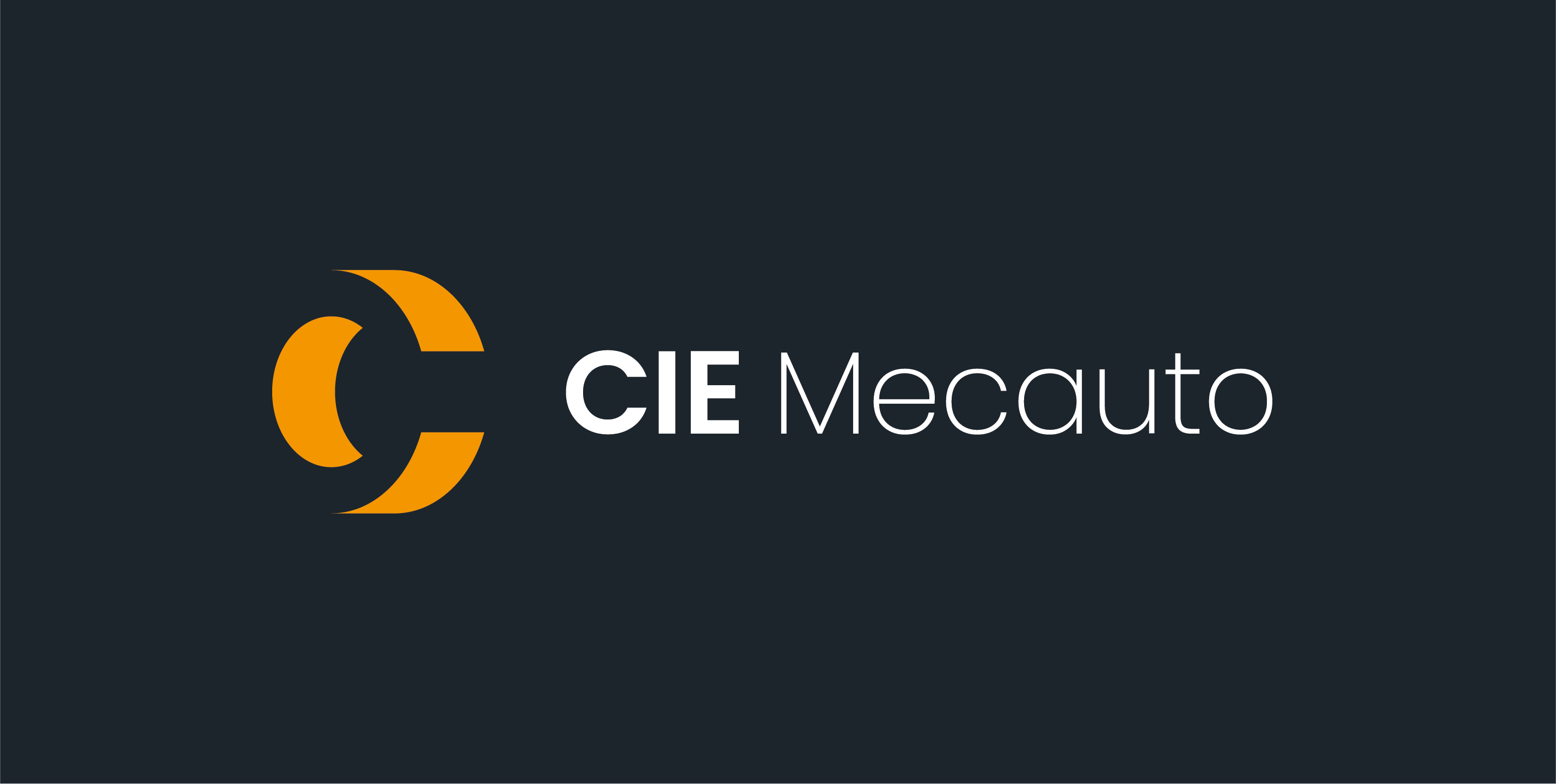 Logo CIE Mecauto
